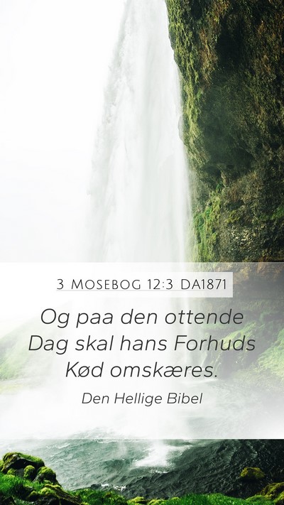 3 Mosebog 12:3 DA1871 Bible Verse Image