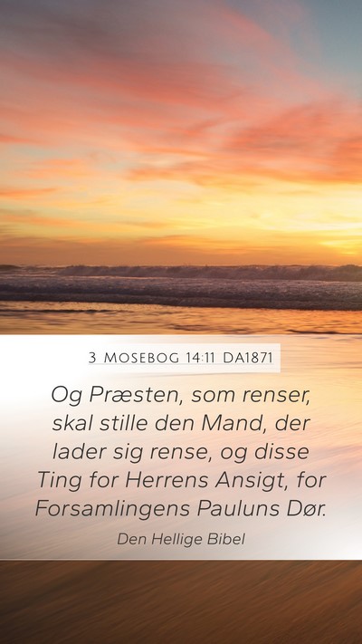 3 Mosebog 14:11 DA1871 Mobile Phone Wallpaper - Og Præsten, som renser, skal stille den Mand, - Mobile Bible Verse Wallpaper