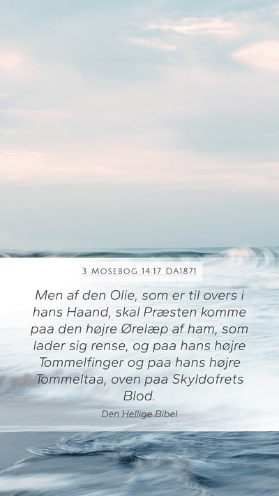 3 Mosebog 14:17 DA1871 Bible Verse Image