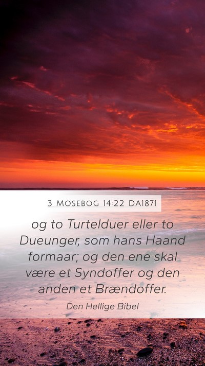 3 Mosebog 14:22 DA1871 Bible Verse Image