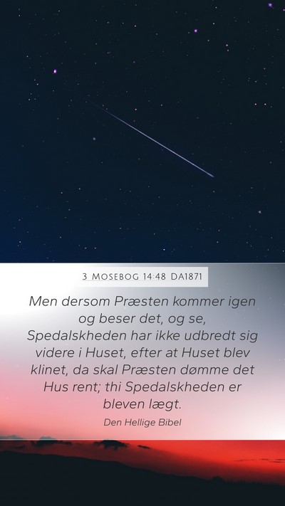 3 Mosebog 14:48 DA1871 Mobile Phone Wallpaper - Men dersom Præsten kommer igen og beser det, og - Mobile Bible Verse Wallpaper