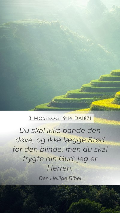 3 Mosebog 19:14 DA1871 Bible Verse Image