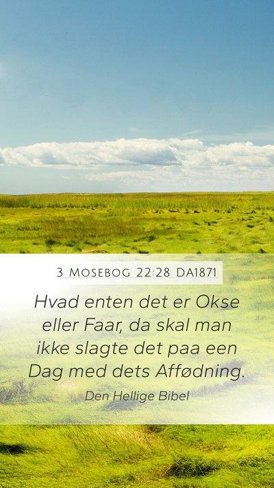 3 Mosebog 22:28 DA1871 Bible Verse Image