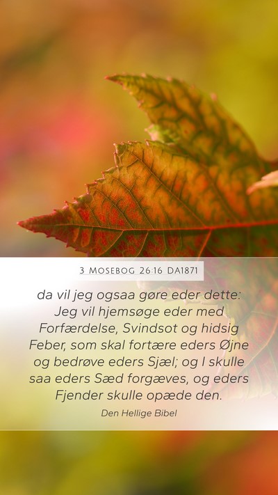 3 Mosebog 26:16 DA1871 Bible Verse Image