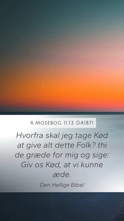4 Mosebog 11:13 DA1871 Mobile Phone Wallpaper - Hvorfra skal jeg tage Kød at give alt dette - Mobile Bible Verse Wallpaper
