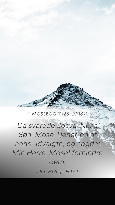 4 Mosebog 11:28 DA1871 Bible Verse Image