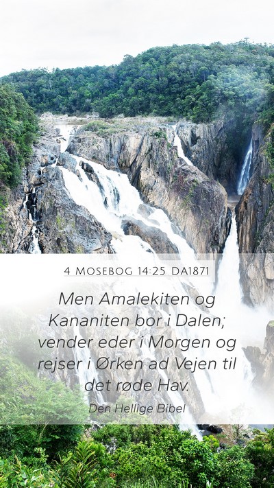 4 Mosebog 14:25 DA1871 Bible Verse Image