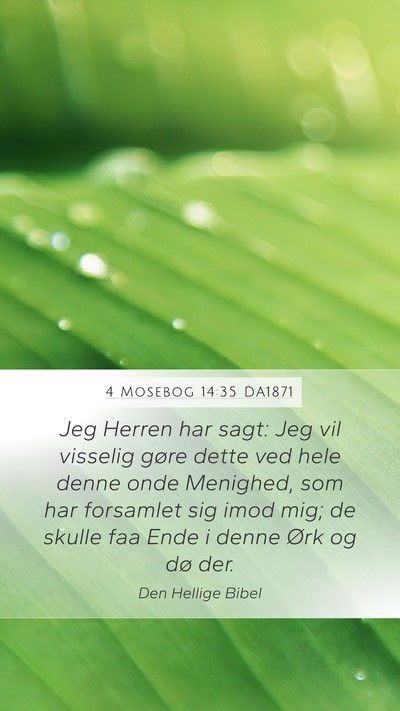 4 Mosebog 14:35 DA1871 Bible Verse Image