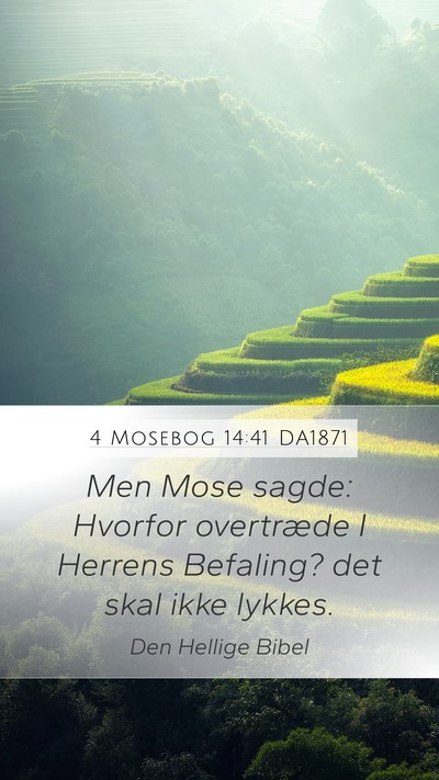 4 Mosebog 14:41 DA1871 Bible Verse Image