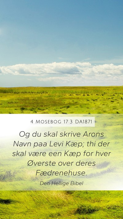 4 Mosebog 17:3 DA1871 Bible Verse Image