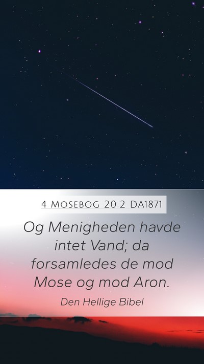 4 Mosebog 20:2 DA1871 Bible Verse Image