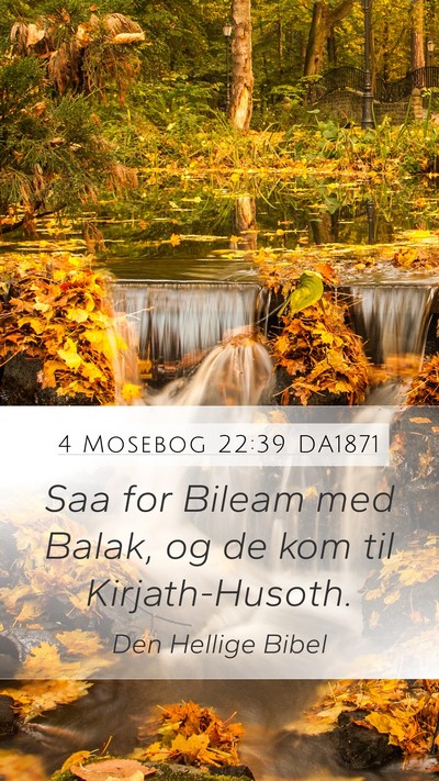 4 Mosebog 22:39 DA1871 Mobile Phone Wallpaper - Saa for Bileam med Balak, og de kom til - Mobile Bible Verse Wallpaper