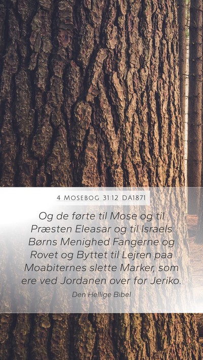 4 Mosebog 31:12 DA1871 Bible Verse Image