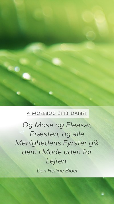 4 Mosebog 31:13 DA1871 Mobile Phone Wallpaper - Og Mose og Eleasar, Præsten, og alle Menighedens - Mobile Bible Verse Wallpaper