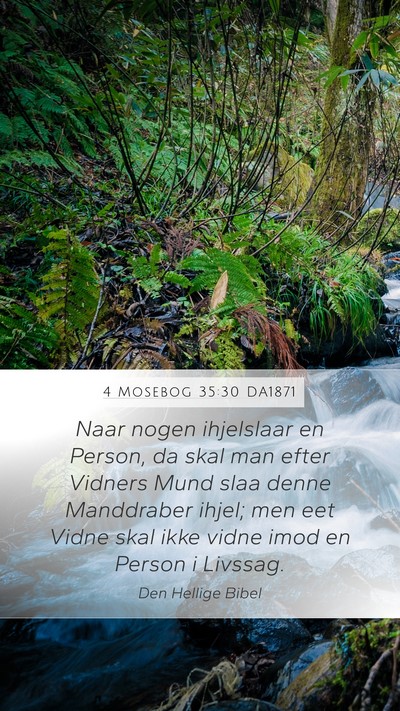 4 Mosebog 35:30 DA1871 Bible Verse Image