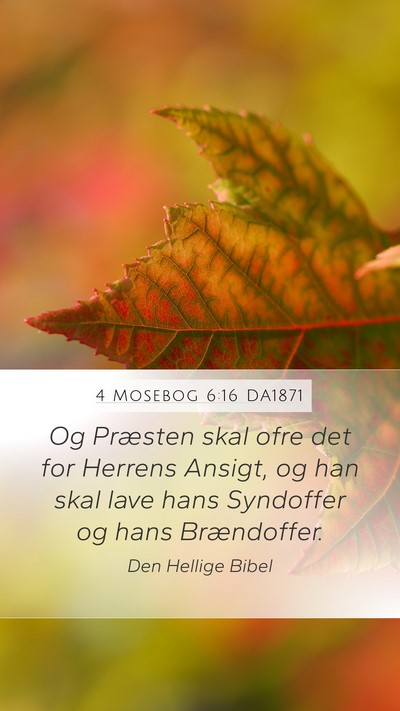 4 Mosebog 6:16 DA1871 Bible Verse Image