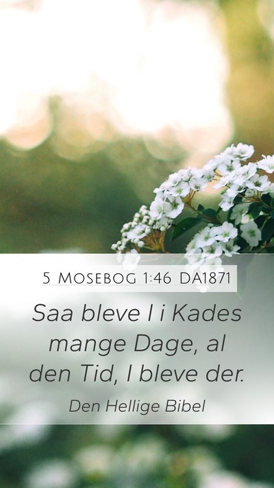 5 Mosebog 1:46 DA1871 Bible Verse Image