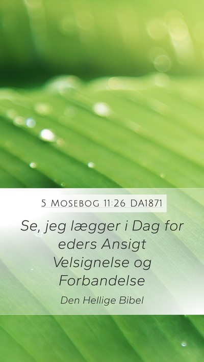 5 Mosebog 11:26 DA1871 Bible Verse Image