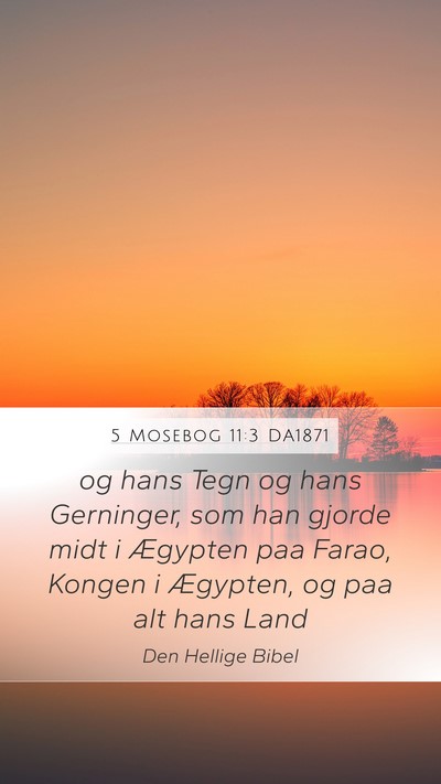 5 Mosebog 11:3 DA1871 Mobile Phone Wallpaper - og hans Tegn og hans Gerninger, som han gjorde - Mobile Bible Verse Wallpaper
