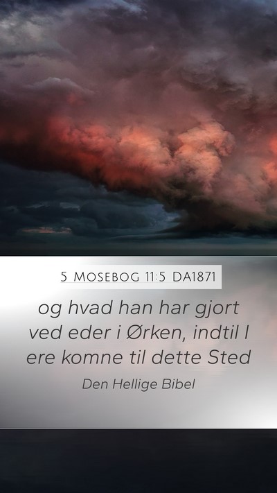 5 Mosebog 11:5 DA1871 Mobile Phone Wallpaper - og hvad han har gjort ved eder i Ørken, indtil I - Mobile Bible Verse Wallpaper