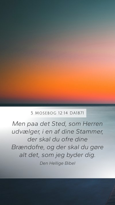 5 Mosebog 12:14 DA1871 Bible Verse Image