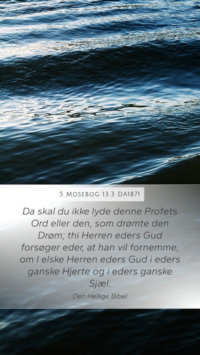 5 Mosebog 13:3 DA1871 Bible Verse Image
