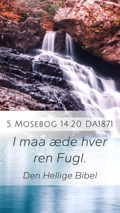 5 Mosebog 14:20 DA1871 Mobile Phone Wallpaper - I maa æde hver ren - Mobile Bible Verse Wallpaper