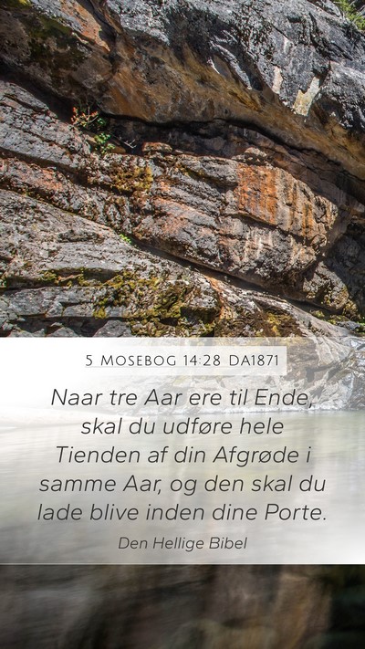 5 Mosebog 14:28 DA1871 Bible Verse Image
