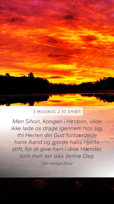 5 Mosebog 2:30 DA1871 Bible Verse Image