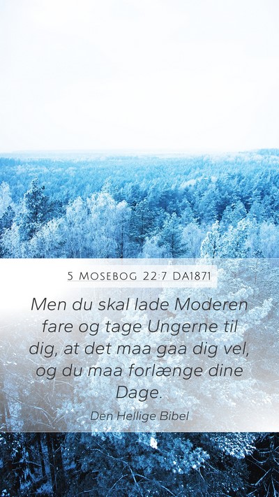 5 Mosebog 22:7 DA1871 Mobile Phone Wallpaper - Men du skal lade Moderen fare og tage Ungerne til - Mobile Bible Verse Wallpaper