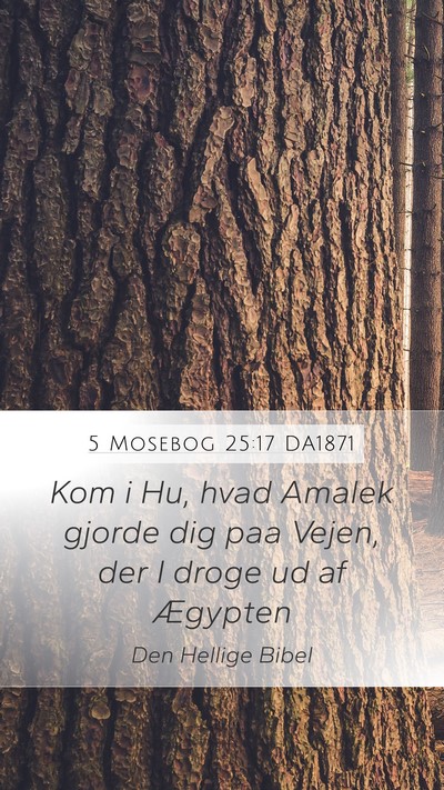 5 Mosebog 25:17 DA1871 Bible Verse Image