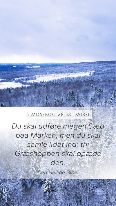 5 Mosebog 28:38 DA1871 Bible Verse Image