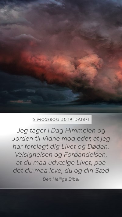 5 Mosebog 30:19 DA1871 Bible Verse Image