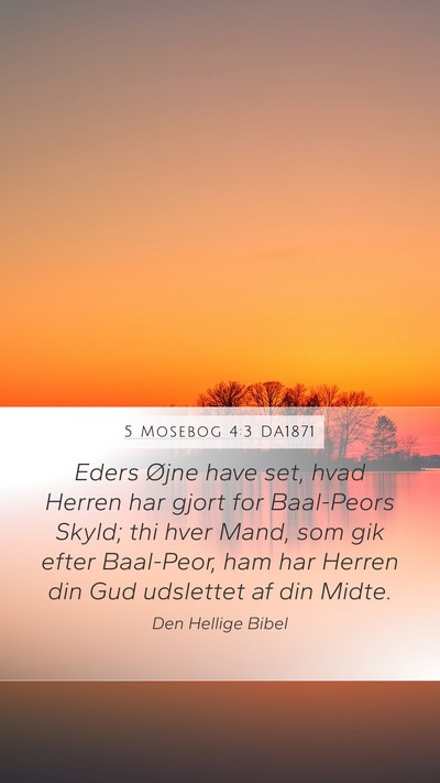 5 Mosebog 4:3 DA1871 Bible Verse Image
