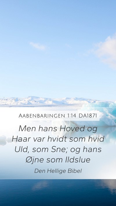 Aabenbaringen 1:14 DA1871 Bible Verse Image