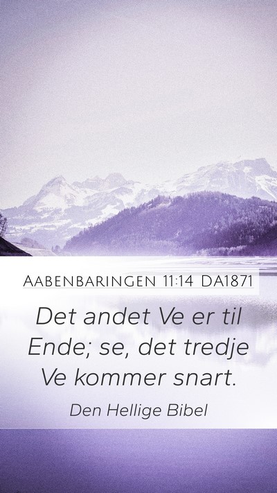 Aabenbaringen 11:14 DA1871 Bible Verse Image