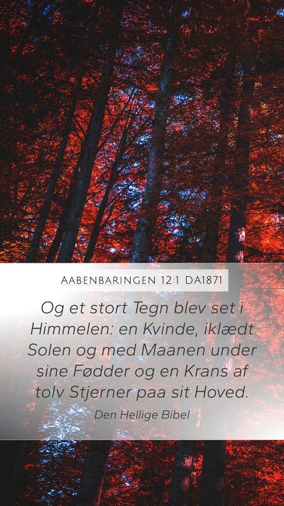 Aabenbaringen 12:1 DA1871 Bible Verse Image