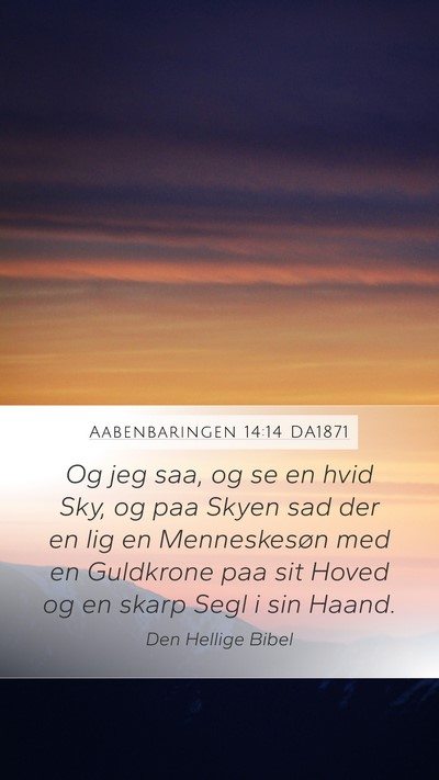 Aabenbaringen 14:14 DA1871 Bible Verse Image