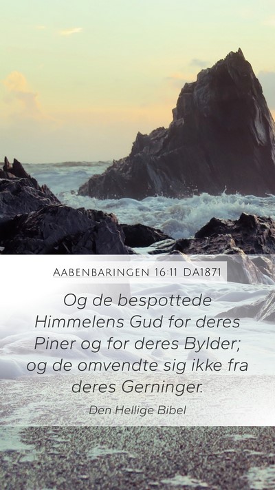 Aabenbaringen 16:11 DA1871 Bible Verse Image