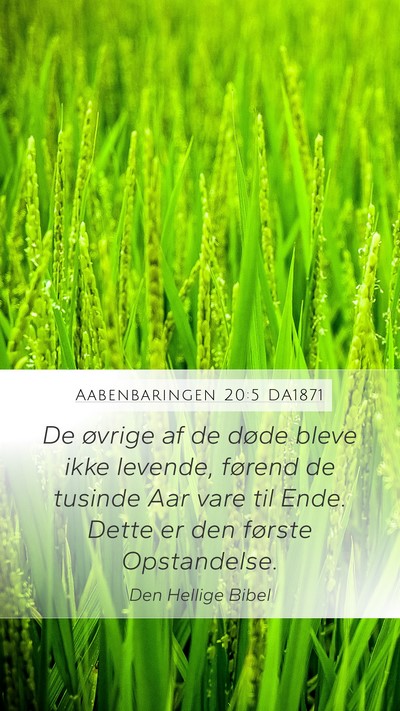 Aabenbaringen 20:5 DA1871 Bible Verse Image