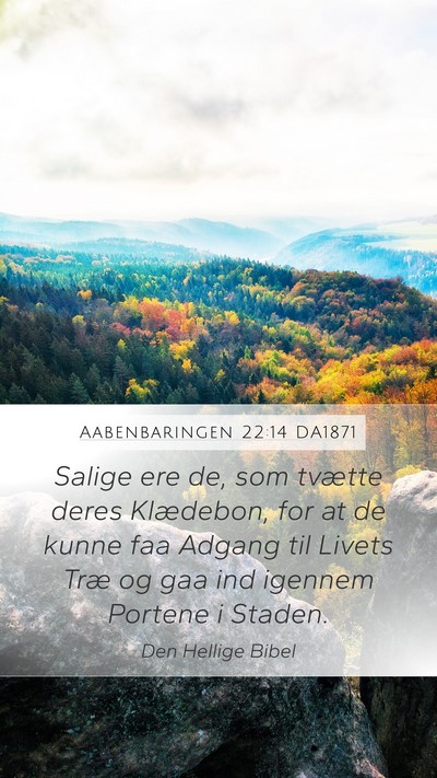 Aabenbaringen 22:14 DA1871 Bible Verse Image