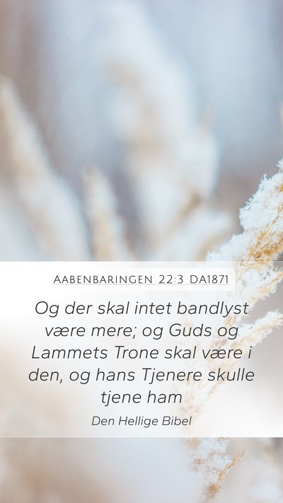 Aabenbaringen 22:3 DA1871 Bible Verse Image