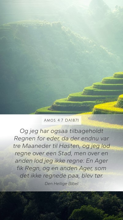 Amos 4:7 DA1871 Bible Verse Image