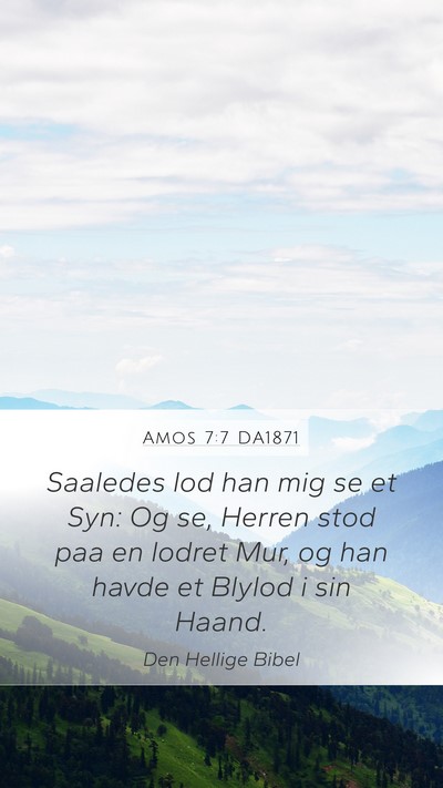 Amos 7:7 DA1871 Bible Verse Image