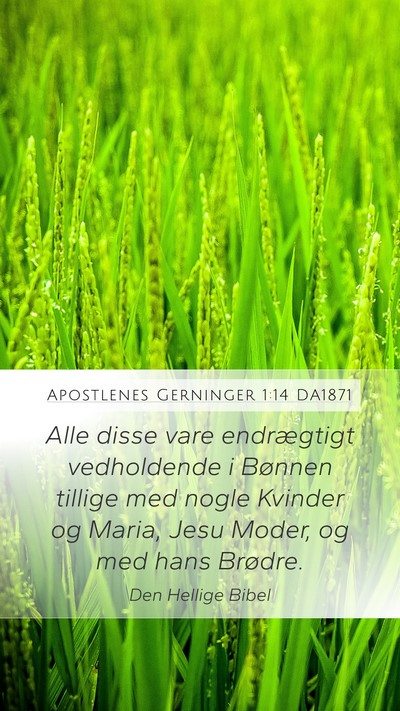 Apostlenes Gerninger 1:14 DA1871 Bible Verse Image