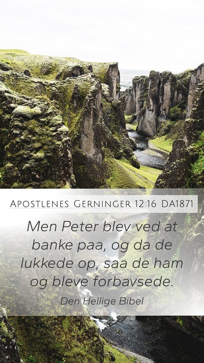 Apostlenes Gerninger 12:16 DA1871 Bible Verse Image