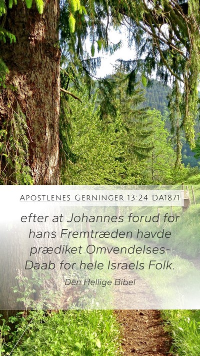 Apostlenes Gerninger 13:24 DA1871 Bible Verse Image