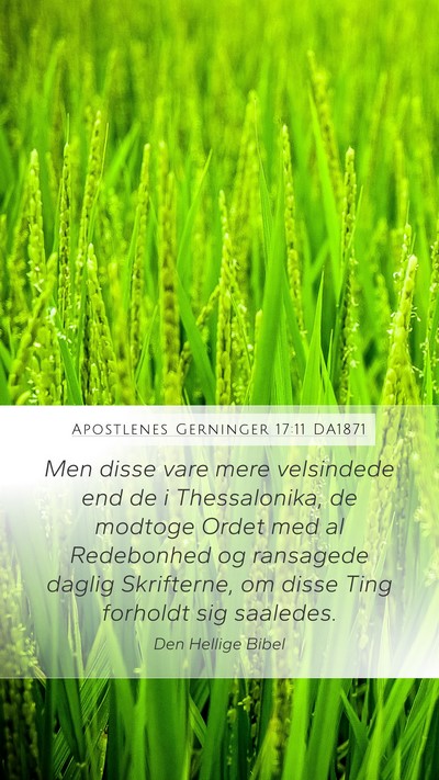 Apostlenes Gerninger 17:11 DA1871 Bible Verse Image