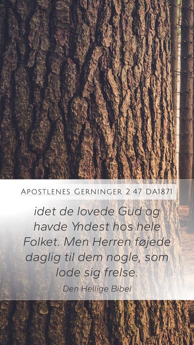Apostlenes Gerninger 2:47 DA1871 Bible Verse Image