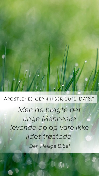 Apostlenes Gerninger 20:12 DA1871 Bible Verse Image